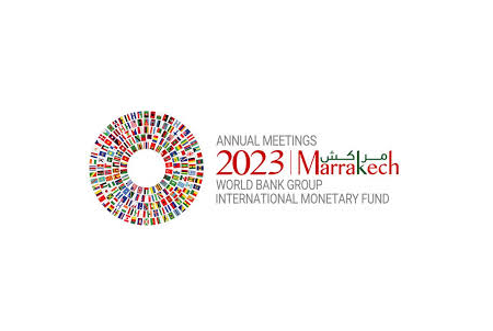 Logo fmi
