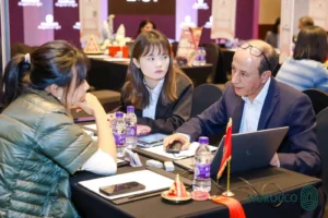 Stours dmc chinese market ties