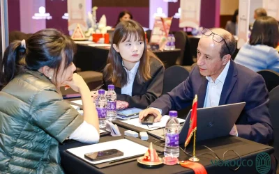 Stours dmc chinese market ties